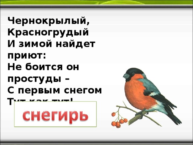 Чернокрылый, Красногрудый И зимой найдет приют: Не боится он простуды – С первым снегом Тут как тут!