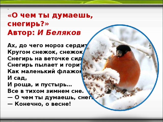 . « О чем ты думаешь, снегирь?»  Автор:  И Беляков  Ах, до чего мороз сердит!  Кругом снежок, снежок…  Снегирь на веточке сидит,  Снегирь пылает и горит,  Как маленький флажок.  И сад,  И роща, и пустырь…  Все в тихом зимнем сне.  — О чем ты думаешь, снегирь?  — Конечно, о весне!