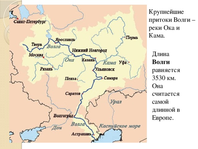 Крупнейшие притоки Волги – реки Ока и Кама. Длина Волги равняется 3530 км. Она считается самой длинной в Европе.