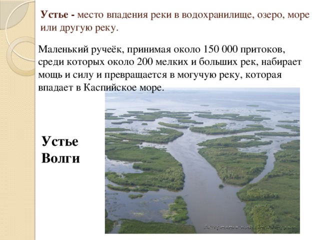 Устье - место впадения реки в водохранилище, озеро, море или другую реку. Маленький ручеёк, принимая около 150 000 притоков, среди которых около 200 мелких и больших рек, набирает мощь и силу и превращается в могучую реку, которая впадает в Каспийское море. Устье Волги