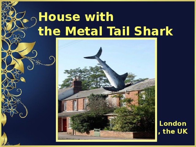House with  the Metal Tail Shark   London , the UK