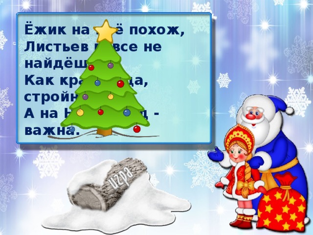 Ёжик на неё похож, Листьев вовсе не найдёшь. Как красавица, стройна, А на Новый год - важна.