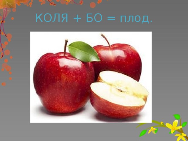 КОЛЯ + БО = плод.