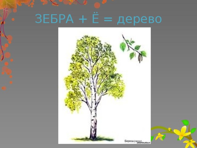 ЗЕБРА + Ё = дерево