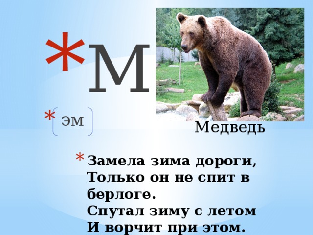 М  эм Медведь Замела зима дороги,  Только он не спит в берлоге.  Спутал зиму с летом  И ворчит при этом.