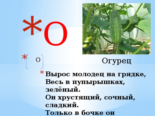 О  о Огурец Вырос молодец на грядке,  Весь в пупырышках, зелёный.  Он хрустящий, сочный, сладкий.  Только в бочке он солёный.