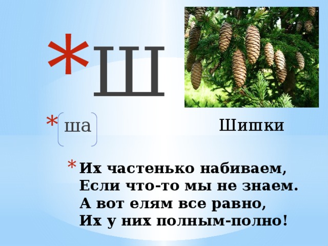 Ш  ша Шишки Их частенько набиваем,  Если что-то мы не знаем.  А вот елям все равно,  Их у них полным-полно!