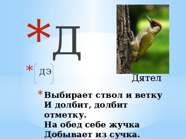 Д  дэ Дятел Выбирает ствол и ветку  И долбит, долбит отметку.  На обед себе жучка  Добывает из сучка.