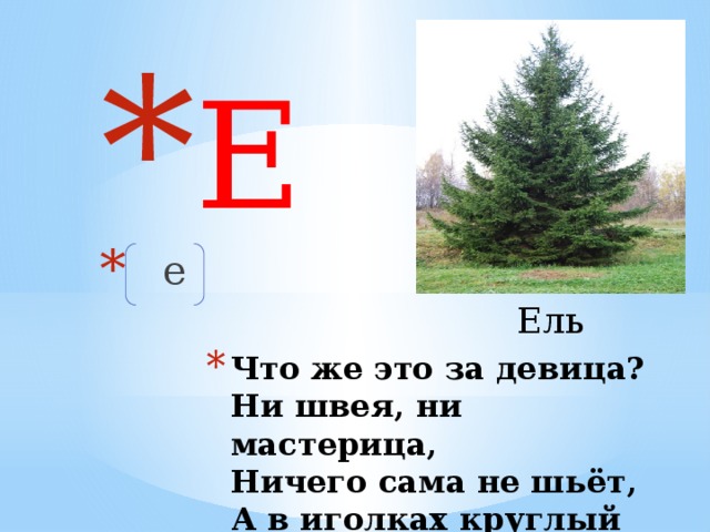 Е   е Ель Что же это за девица?  Ни швея, ни мастерица,  Ничего сама не шьёт,  А в иголках круглый год.