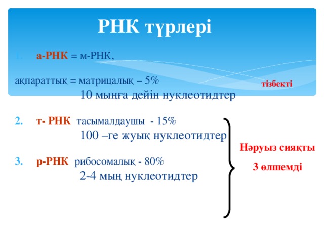 РНК түрлері а-РНК = м-РНК, ақпараттық = матрицалық – 5% 10 мыңға дейін нуклеотидтер 10 мыңға дейін нуклеотидтер 10 мыңға дейін нуклеотидтер 10 мыңға дейін нуклеотидтер 10 мыңға дейін нуклеотидтер т- РНК тасымалдаушы - 15% 100 –ге жуық нуклеотидтер  100 –ге жуық нуклеотидтер  100 –ге жуық нуклеотидтер  100 –ге жуық нуклеотидтер  100 –ге жуық нуклеотидтер  р-РНК рибосомалық - 80% 2-4 мың нуклеотидтер 2-4 мың нуклеотидтер 2-4 мың нуклеотидтер 2-4 мың нуклеотидтер 2-4 мың нуклеотидтер тізбекті Нәруыз сияқты 3 өлшемді