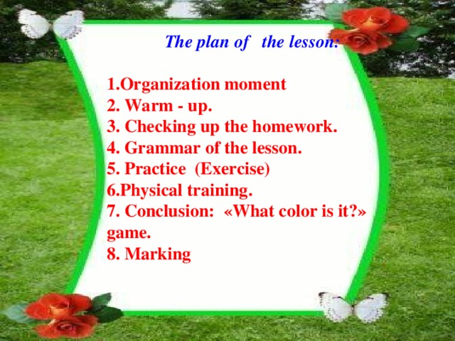The plan of the lesson:  1.Organization moment 2. Warm - up. 3. Checking up the homework. 4. Grammar of the lesson. 5. Practice (Exercise) 6.Physical training. 7. Conclusion: «What color is it?» game. 8. Marking