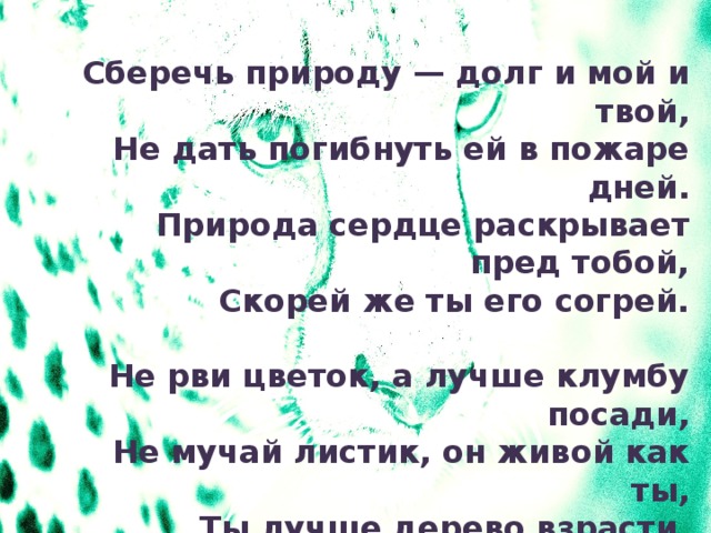 Сберечь природу — долг и мой и твой, Не дать погибнуть ей в пожаре дней. Природа сердце раскрывает пред тобой, Скорей же ты его согрей.   Не рви цветок, а лучше клумбу посади, Не мучай листик, он живой как ты, Ты лучше дерево взрасти, Для птиц, смотрящих с высоты.  