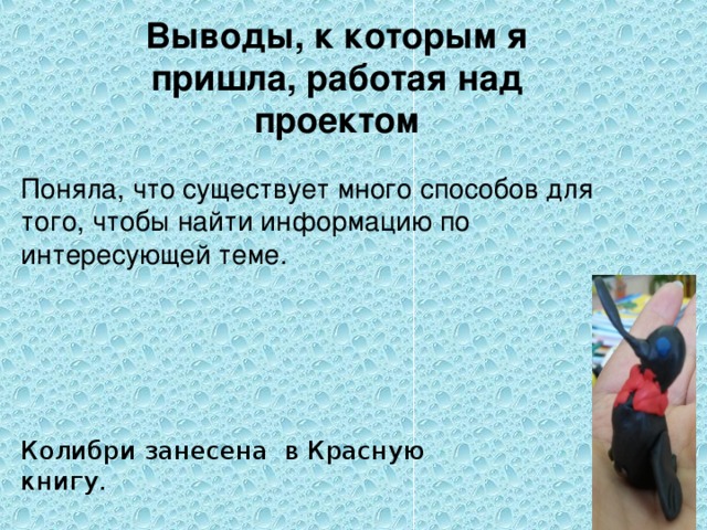 Выводы, к которым я пришла, работая над проектом Поняла, что существует много способов для того, чтобы найти информацию по интересующей теме. Колибри занесена в Красную книгу.