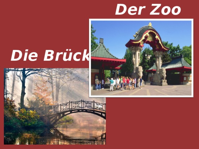 Der Zoo Die Brücke