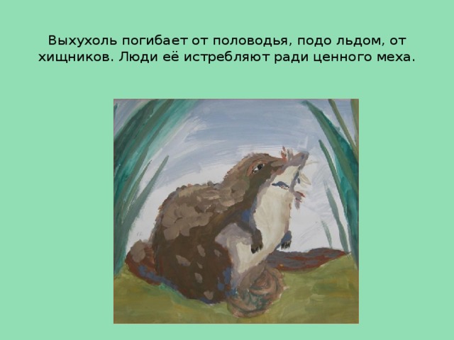 Выхухоль погибает от половодья, подо льдом, от хищников. Люди её истребляют ради ценного меха.