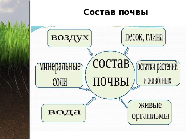 Тест почва особое природное тело 8 класс