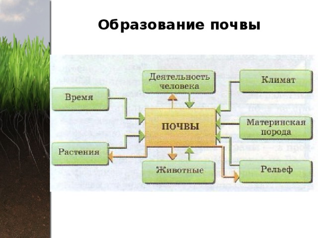 Образование почвы презентация