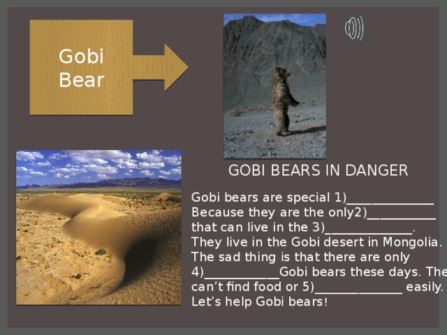 Gobi Bear GOBI BEARS IN DANGER Gobi bears are special 1)______________ Because they are the only2)___________ that can live in the 3)______________. They live in the Gobi desert in Mongolia. The sad thing is that there are only 4)____________Gobi bears these days. They can’t find food or 5)______________ easily. Let’s help Gobi bears !