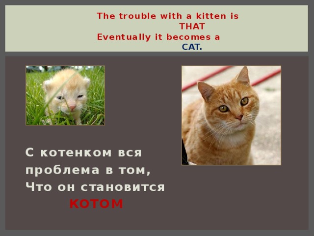 The trouble with a kitten is THAT Eventually it becomes a CAT. С котенком вся проблема в том, Что он становится КОТОМ