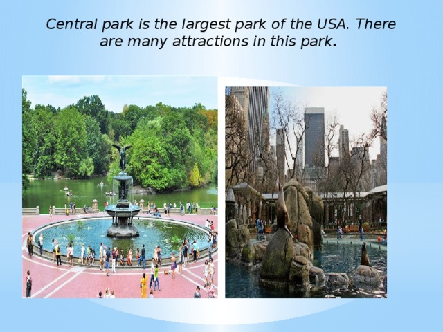 Central park is the largest park of the USA. There are many attractions in this park .