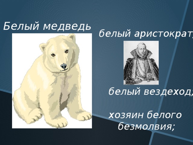 Белый медведь белый аристократ;     белый вездеход;  хозяин белого  безмолвия;