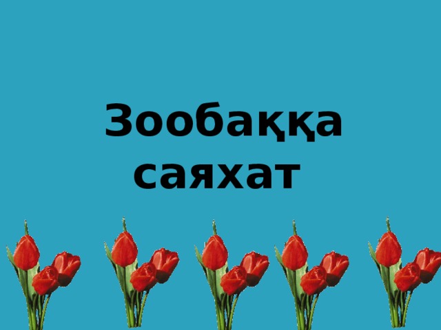 Зообаққа саяхат