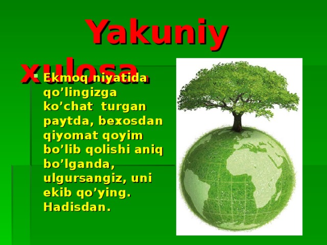 Yakuniy xulosa.