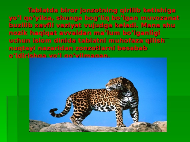 Tabiatda biror jonzotning qirilib ketishiga yo’l qo’yilsa, shunga bog’liq bo’lgan muvozanat buzilib xavfli vaziyat vujudga keladi. Mana shu nozik haqiqat avvaldan ma’lum bo’lganligi uchun islom dinida tabiatni muhofaza qilish nuqtayi nazaridan zonzotlarni besabab o’ldirishga yo’l qo’yilmagan.