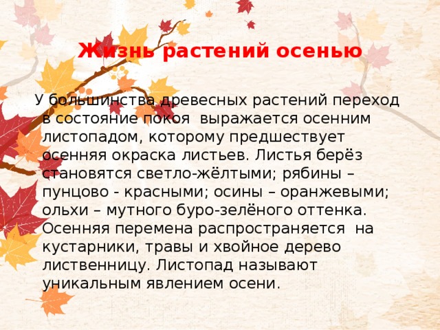 Жизнь растений осенью 2 класс презентация. Жизнь растений осенью. Осенние изменения в жизни растений. Осенние явления в жизни растений и животных. Осенние явления в жизни растений.