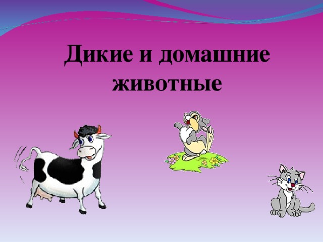 Дикие и домашние животные