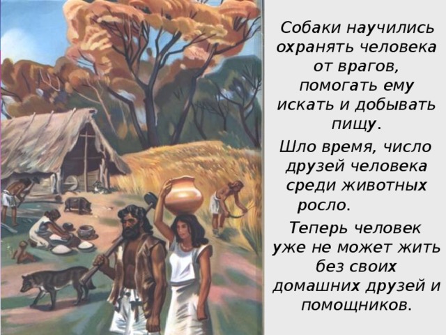 Собаки научились охранять человека от врагов, помогать ему искать и добывать пищу.  Шло время, число друзей человека среди животных росло.        Теперь человек уже не может жить без своих домашних друзей и помощников.