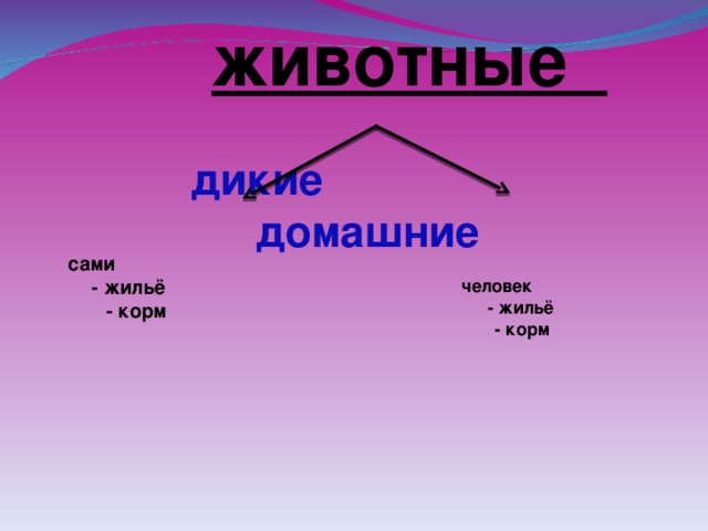 животные дикие     домашние     сами - жильё  - корм    человек - жильё  - корм