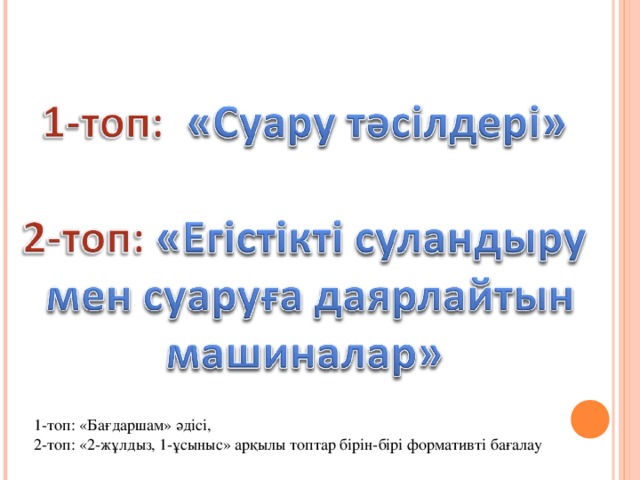 1-топ: «Бағдаршам» әдісі, 2-топ: «2-жұлдыз, 1-ұсыныс» арқылы топтар бірін-бірі формативті бағалау