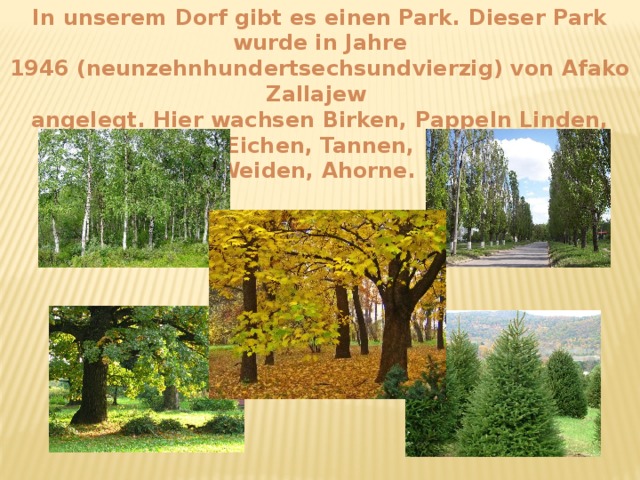 In unserem Dorf gibt es einen Park. Dieser Park wurde in Jahre 1946 (neunzehnhundertsechsundvierzig) von Afako Zallajew angelegt. Hier wachsen Birken, Pappeln Linden, Eichen, Tannen, Weiden, Ahorne.