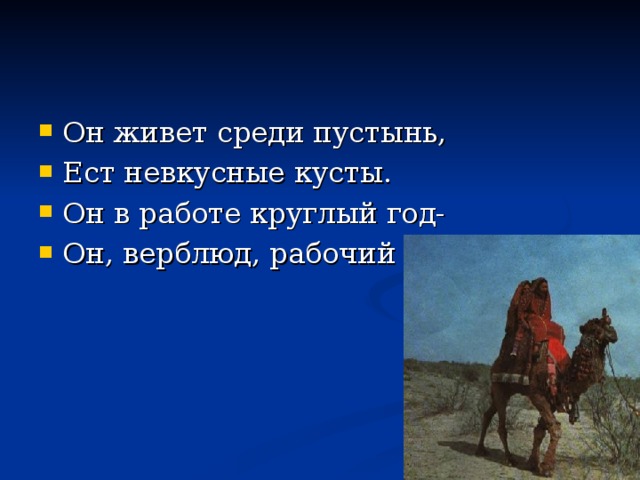 Он живет среди пустынь, Ест невкусные кусты. Он в работе круглый год- Он, верблюд, рабочий скот.