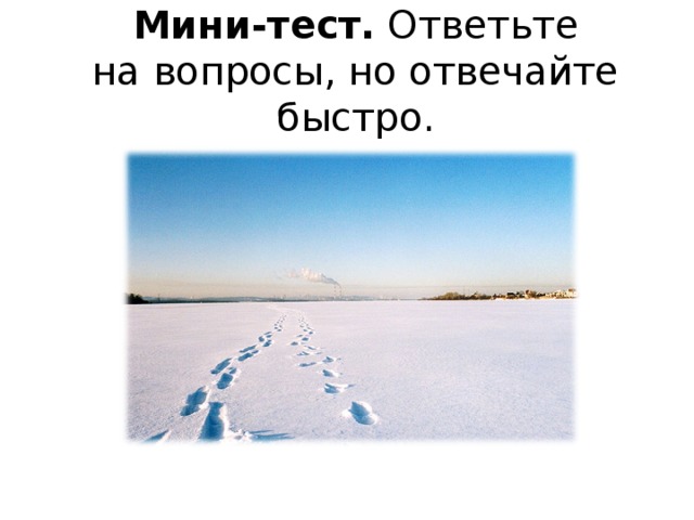 Мини-тест. Ответьте на вопросы, но отвечайте быстро.