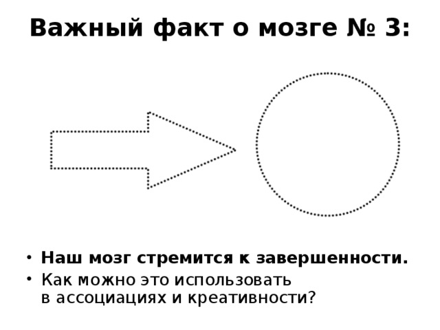 Важный факт о мозге № 3: