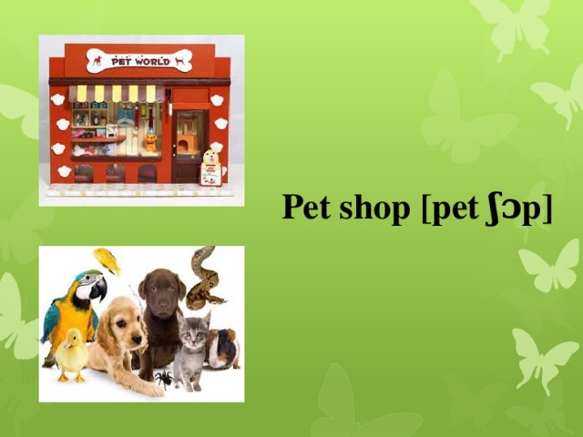 Pet shop [pet ʃɔp]