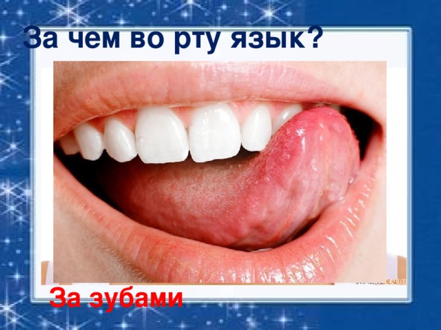 За чем во рту язык? За зубами