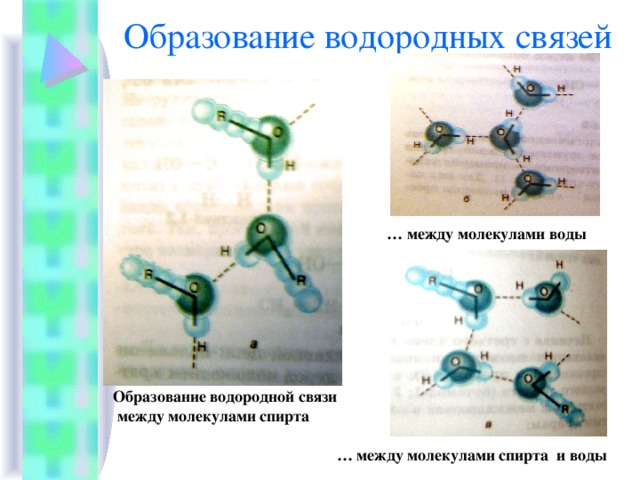 Образование водородных связей … между молекулами воды Образование водородной связи  между молекулами спирта … между молекулами спирта и воды