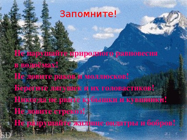 Запомните! Не нарушайте природного равновесия в водоёмах! Не ловите раков и моллюсков! Берегите лягушек и их головастиков! Никогда не рвите кубышки и кувшинки! Не ловите стрекоз! Не разрушайте жилище ондатры и бобров!