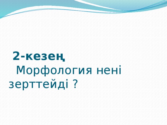 2-кезең   Морфология нені зерттейді ?