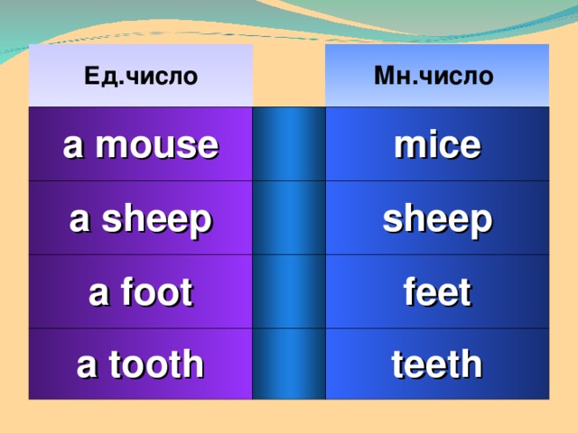 Ед.число a mouse Мн.число a sheep mice a foot sheep a tooth feet teeth