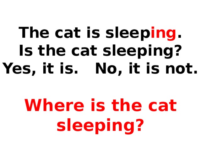 The cat is sleep ing .  Is the cat sleeping?  Yes, it is. No, it is not.   Where is the cat sleeping?