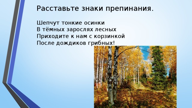 Прийти приходи леса. Шепчут тонкие Осинки в темных зарослях лесных. Шепчут тонкие Осинки. Стих шепчут тонкие Осинки. Шепчут темные Осинки.