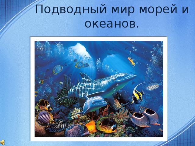 Подводный мир морей и океанов.