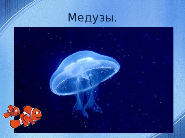 Медузы.