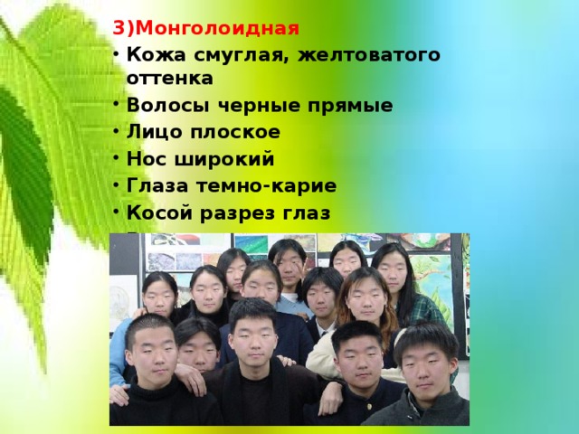 3)Монголоидная