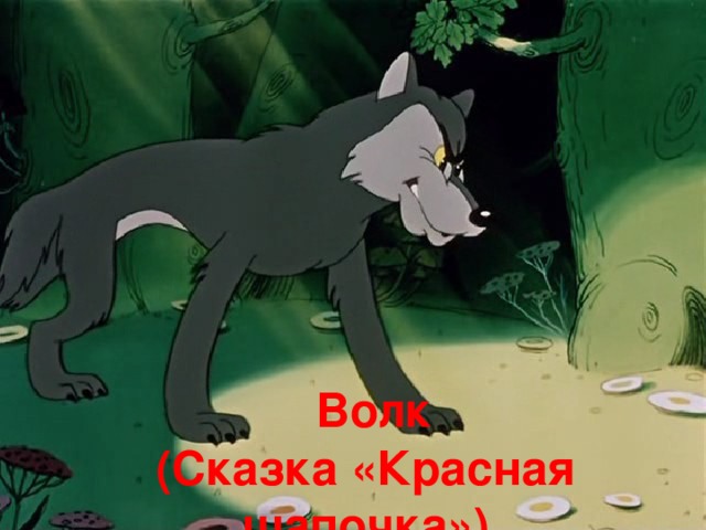 Вопросы: Чтобы хорошо пообедать, злой обманщик превратился в добрую бабушку. Кто это?  Волк  (Сказка «Красная шапочка»)