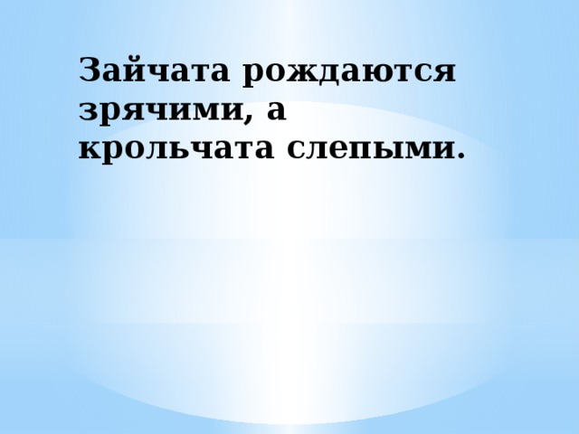 Зайчата рождаются зрячими, а крольчата слепыми.